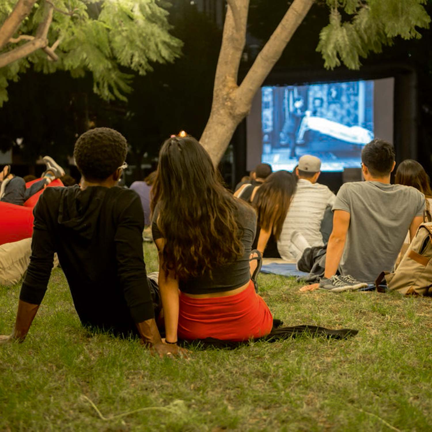 Image of Couple Watching Movie Outdoors